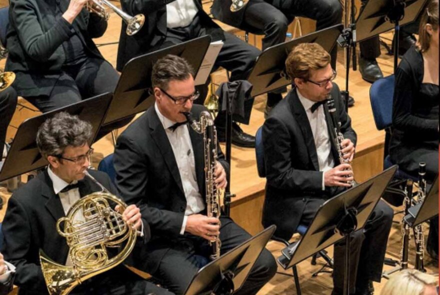 Seated musicians in an orchestra playing woodwind and brass instruments