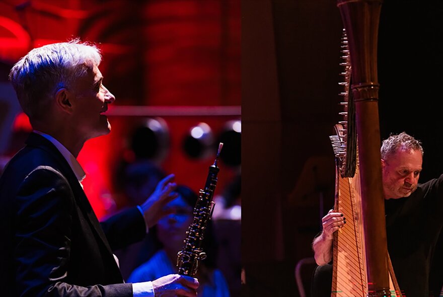 Traditional musicians with harp and clarinet.