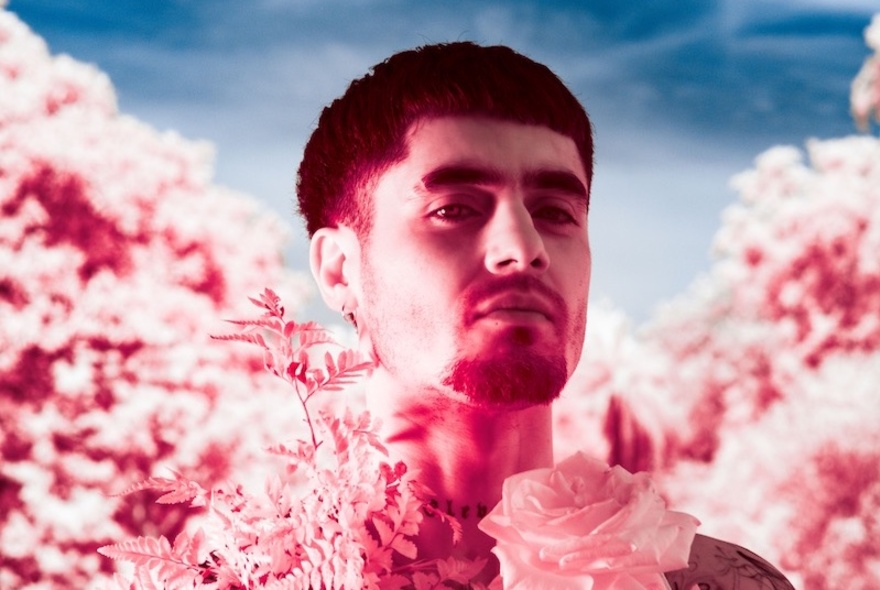 Portrait of a young man surrounded by pink flowers.