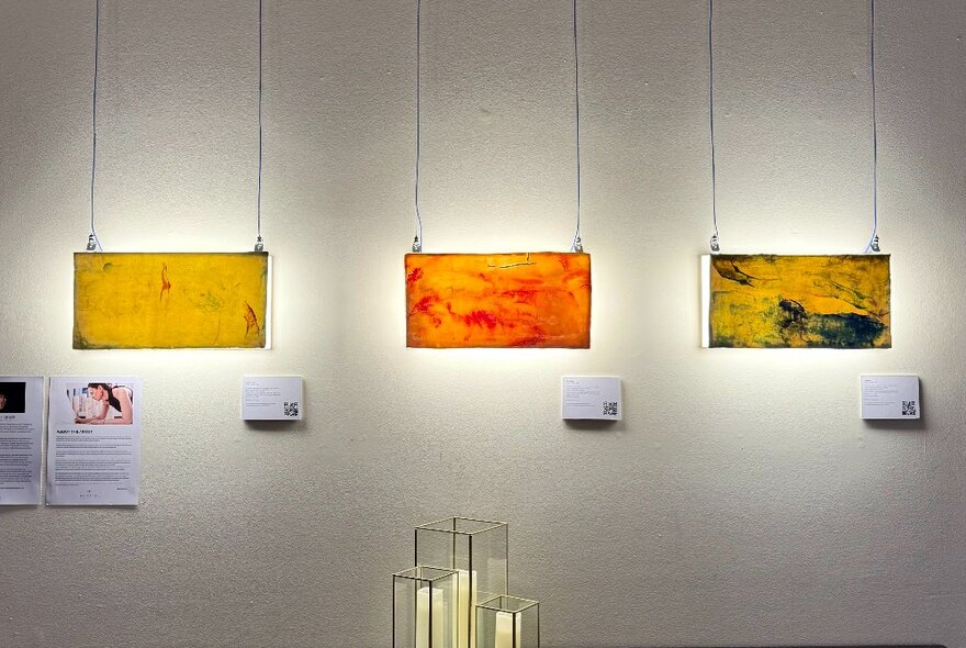Installation of hanging porcelain artworks on a white wall, with small information panels underneath.