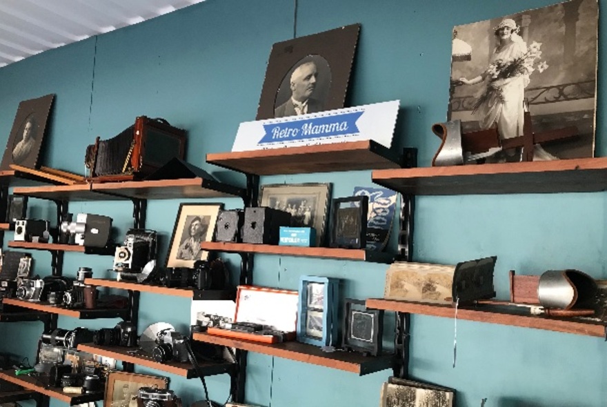 Vintage photos and photographic equipment on wooden shelves against green wall.