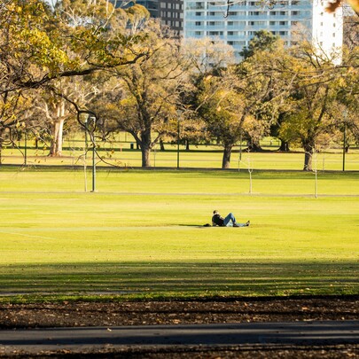 Fawkner Park