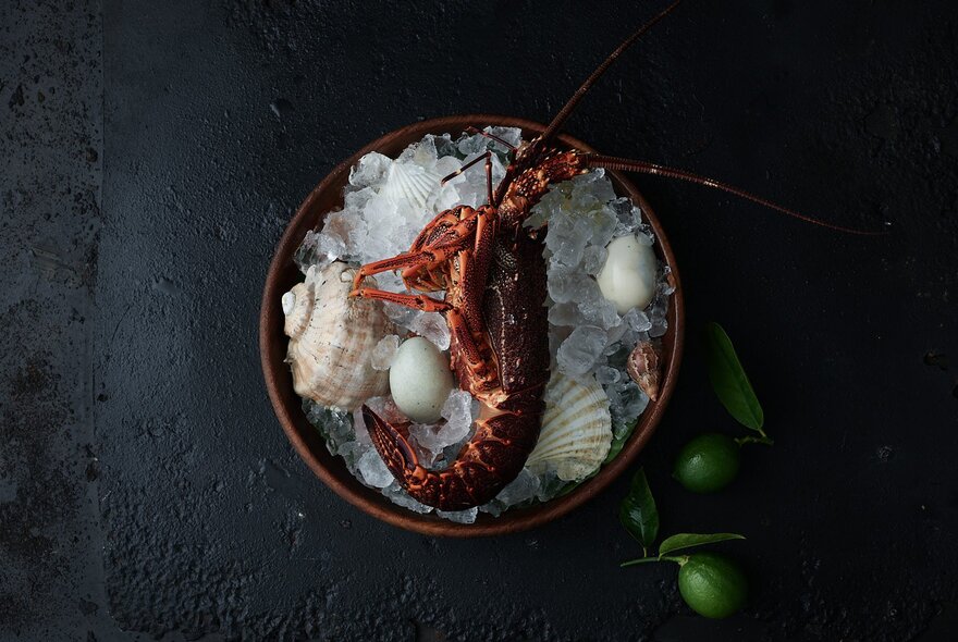 Looking down a selection of shellfish on a bowl of ice, set on a dark tabletop.