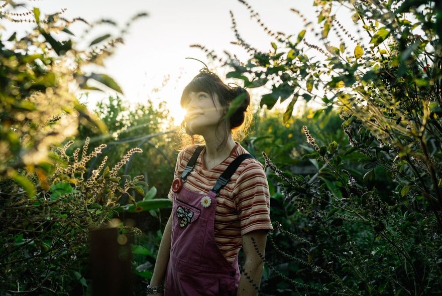 A person standing in a garden, sunlight behind them, gazing upwards.