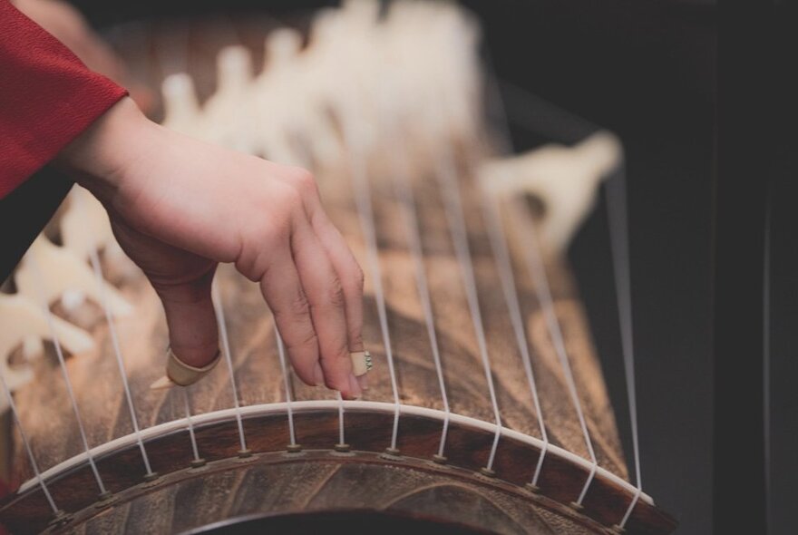 A hand plucking a Japanese stringed instrument.