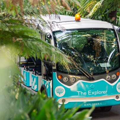 The Explorer: Melbourne Gardens