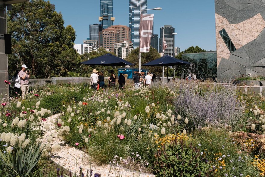 Native grasses and flowers in a garden in the foreground, with Fed Square and the Melbourne city skyline in the background.