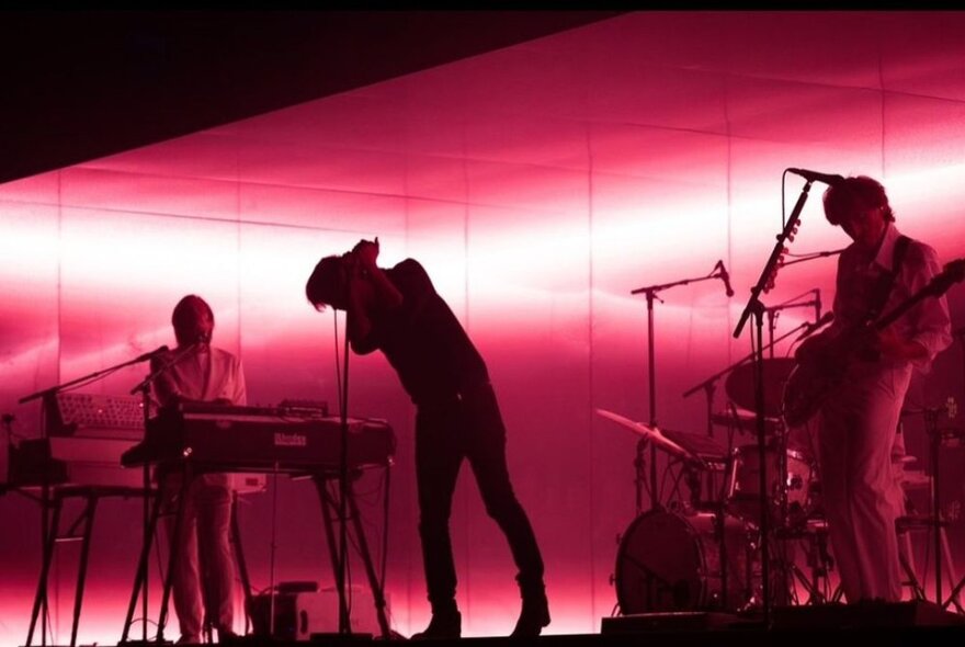 Group silhouetted on stage with pink lighting, keyboard player, singer at microphone and guitarist.