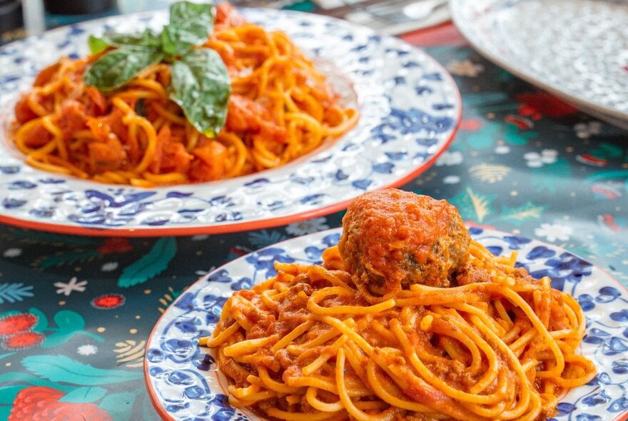 Blue and white decorated plates filled with tomato pasta with basil and meatballs.