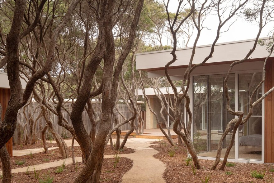 'House in Anglesea,' designed by architect, Matt Goodman, with wiggly trees in the garden and a curved path towards the flat-roofed home.