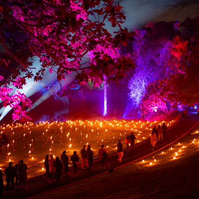 A crowd of people are walking through a garden at night with glowing purple and pink lights in the trees and small lanterns are scattered across a lawn