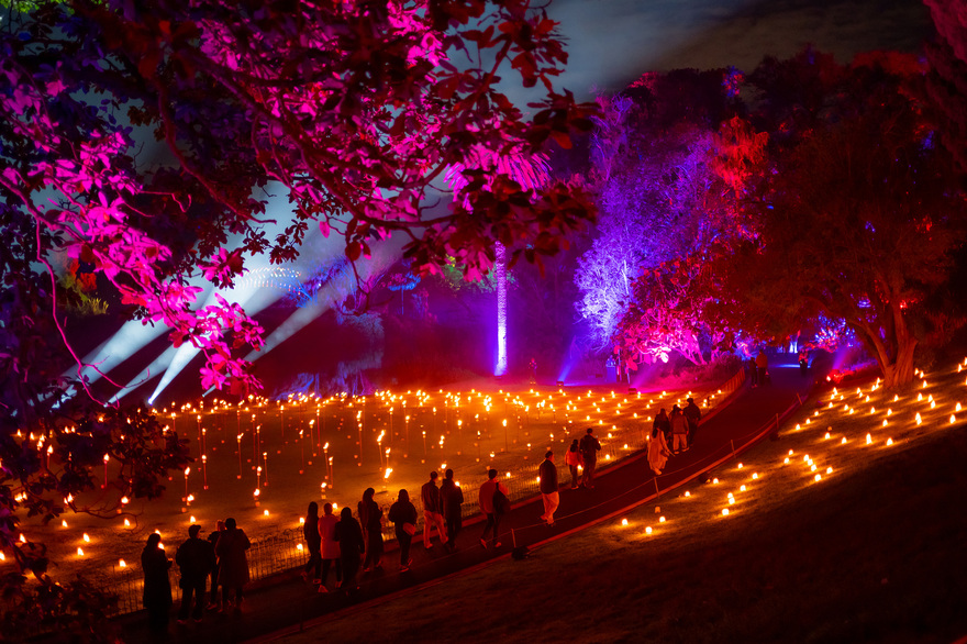 A crowd of people are walking through a garden at night with glowing purple and pink lights in the trees and small lanterns are scattered across a lawn