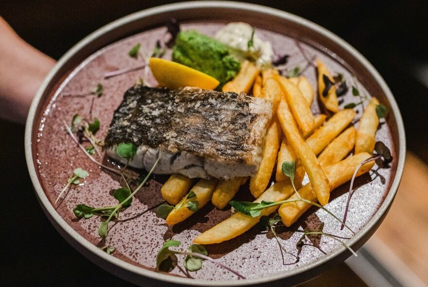 A hand holding a plate of fish and chips.