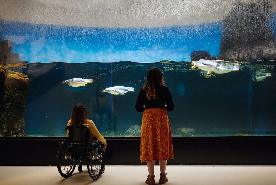 Two women looking at a tank of fish in an aquarium. Once woman is using a wheelchair.