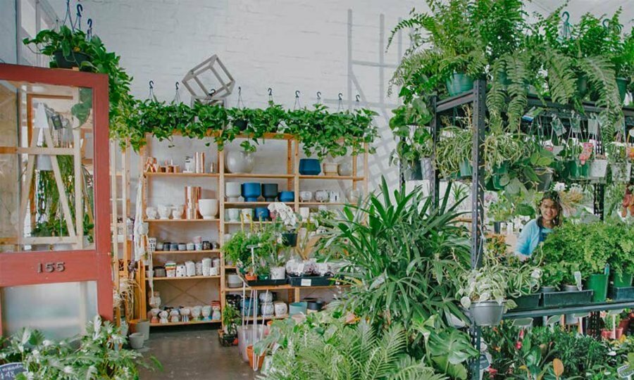 A woman in a plant shop with pots and lots of green ferns.