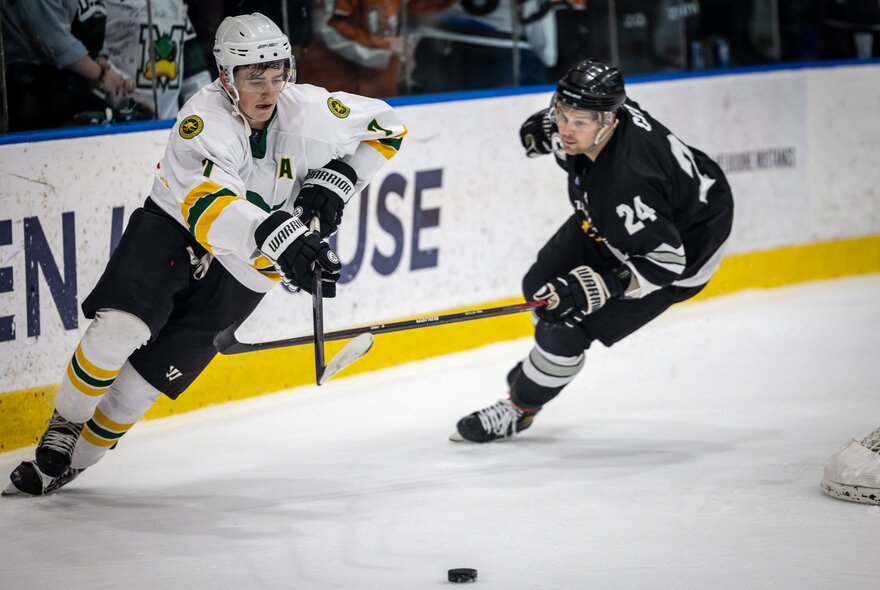 Two ice hockey players from different teams skating on the ice pushing a puck with their hockey sticks.