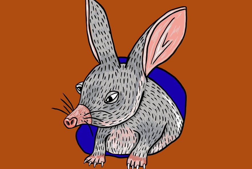 Cartoon of a numbat emerging from a hole.