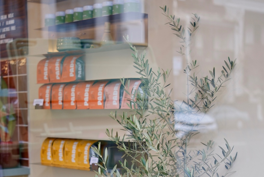 Cafe window reflection with an olive tree and packets of coffee.