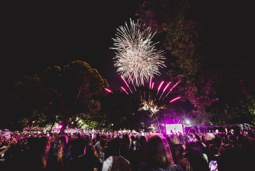 Fireworks going off in the distance with a huge crowd of people gathered to watch. 