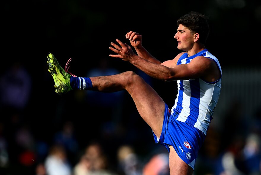 North Melbourne AFL football player kicking the ball during a match.