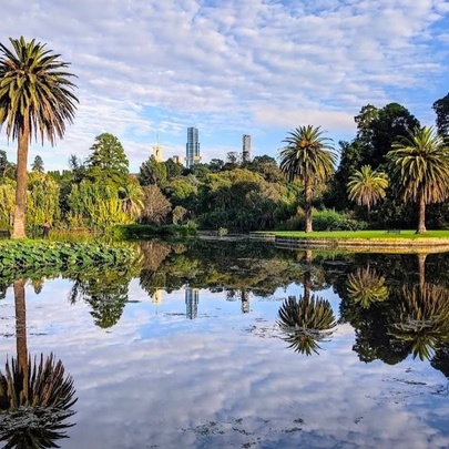 The lake at Royal Botanic Gardens Melbourne. 