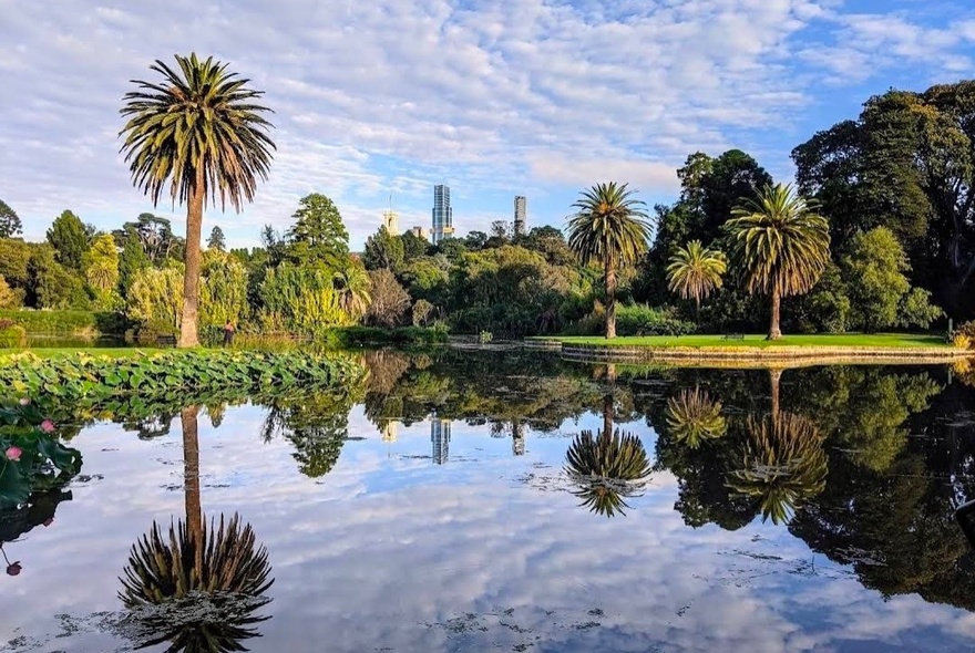 The lake at Royal Botanic Gardens Melbourne. 