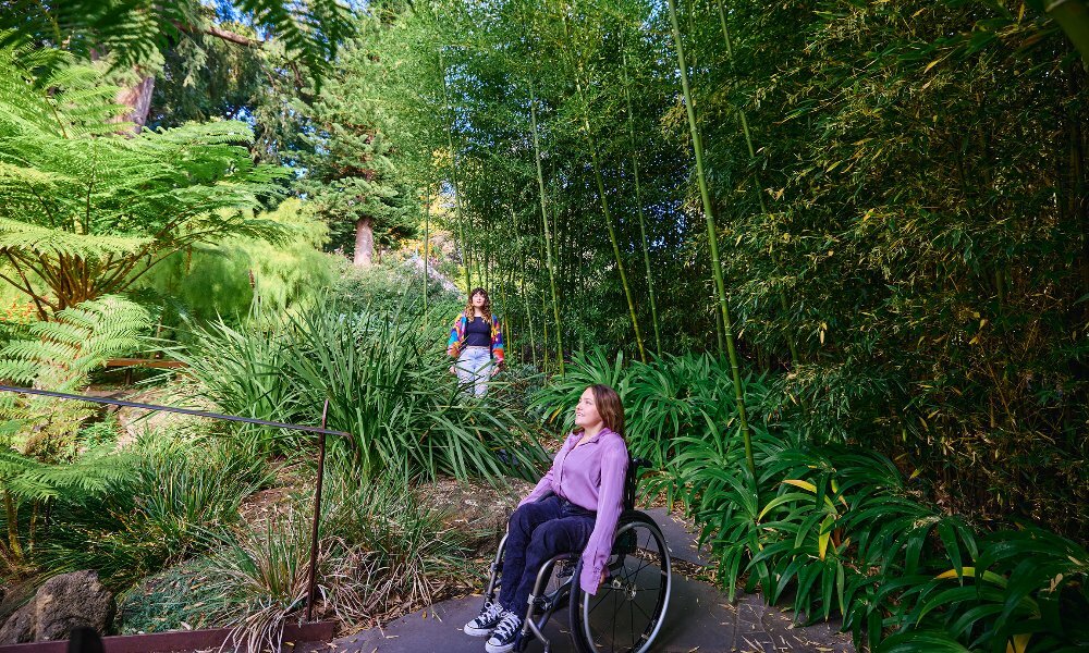 Two women moving down a lamp in a national park, the person in foreground is in a purple top in a wheelchair.