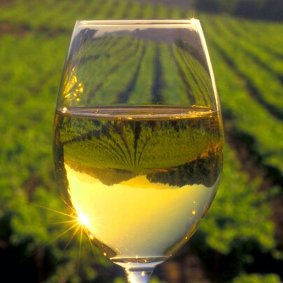 Secret Cellar Dinner: Amazing Aged Riesling