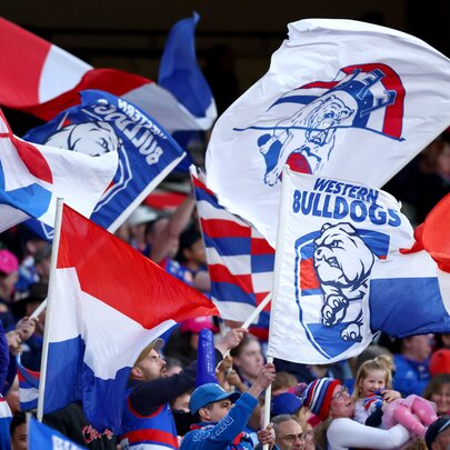 Western Bulldog AFL football fans with flags in the stands during a match.