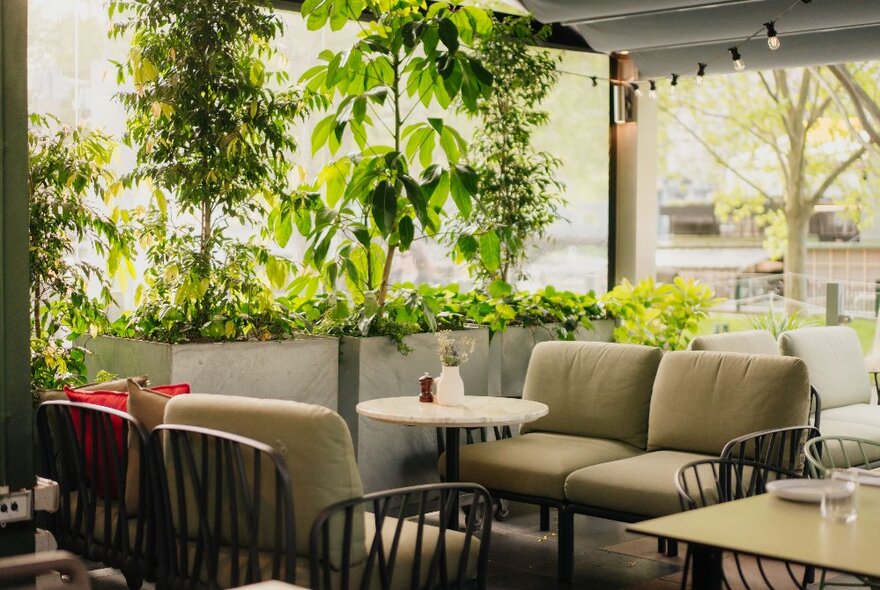 Couch seating at a riverside restaurant and bar, with leafy green trees in the background.