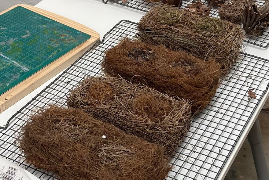 Compressed brown coconut fibre rectangular blocks, shaped into nests, on a table surface.