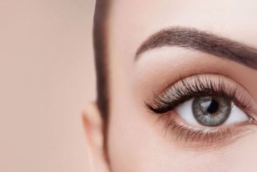 Eye and eyebrow made up with mascara and pencil. 