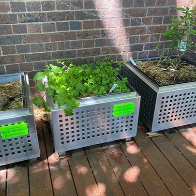Native Garden Harvest