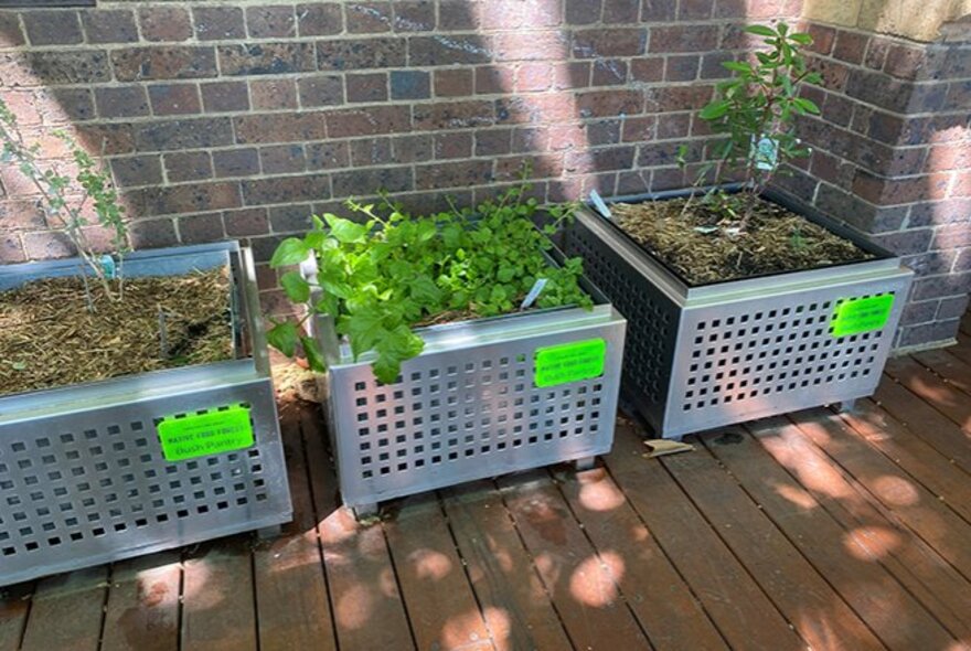 Three metal raised planters filled with vegetables and herbs in front of a brick wall.