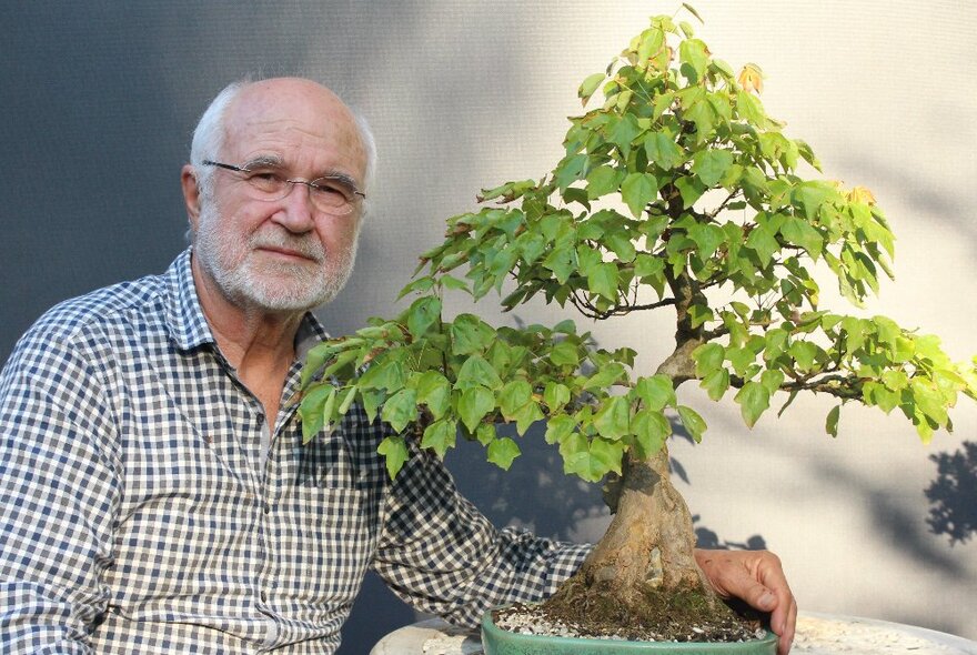 Victor Byrdy next to a larger type of bonsai tree in a pot.