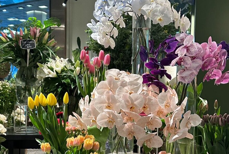 Massed floral displays of tulips and orchids in a florist.