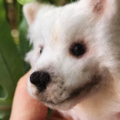 Realistic Pompom Dog Heads Workshop