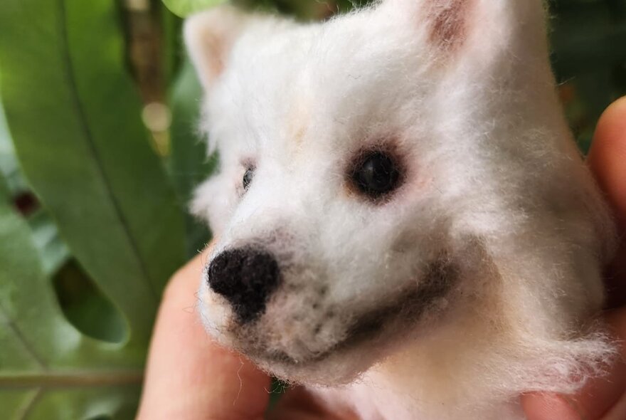 White pompom dog head with realistic-looking eyes and nose.