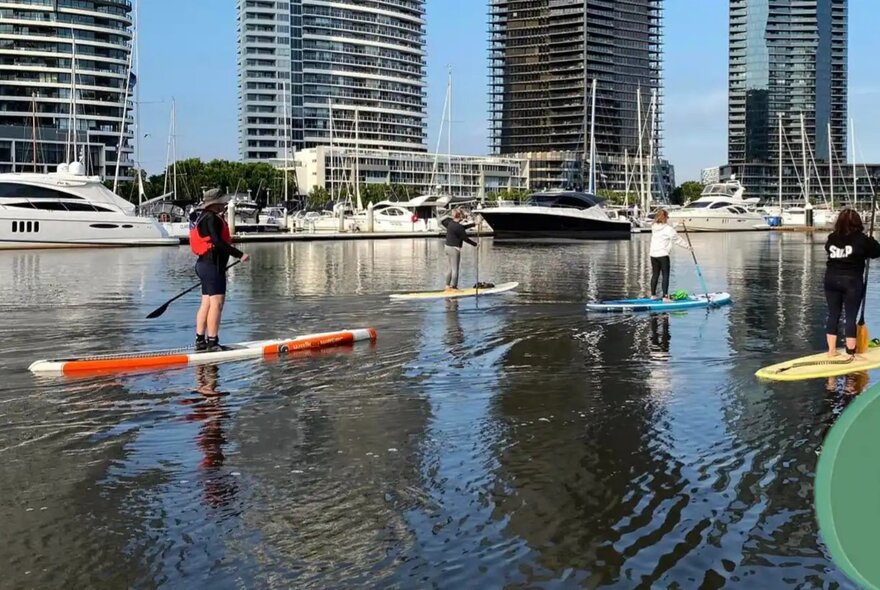 Four people on stand up paddle boards on the Yarra River in Docklands precinct with city buildings in the background.