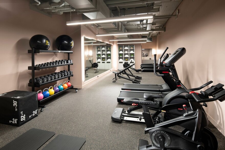 An empty hotel gym with exercise equipment and a rack for weights.