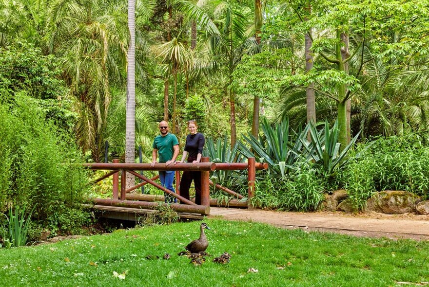 People walking through Fitzroy Gardens, standing on a small bridge, with large trees behind them 