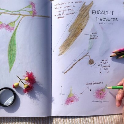 Immerse in Nature Using Coloured Pencils