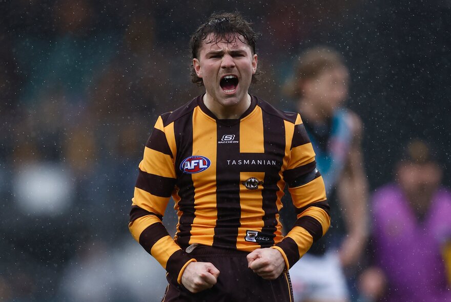 Hawthorn AFL football player standing during a match with fists pumped, yelling.