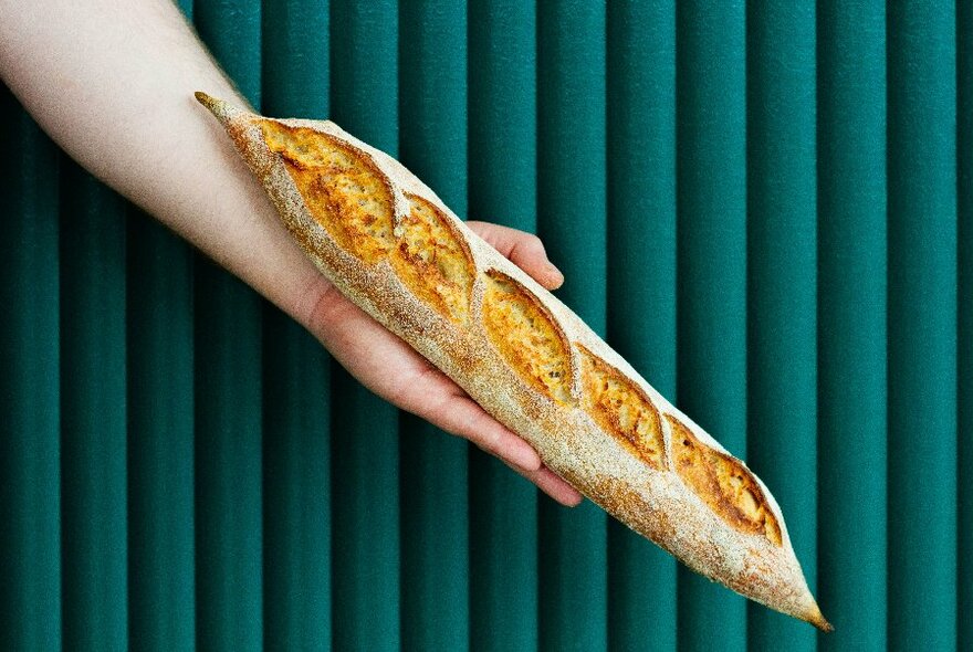 A hand holding a rustic bread loaf.