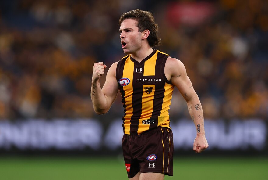 A Hawthorn AFL player cheering on the field, his mouth open, a clenched fist raised chest high, and a blurred stadium crowd behind him.