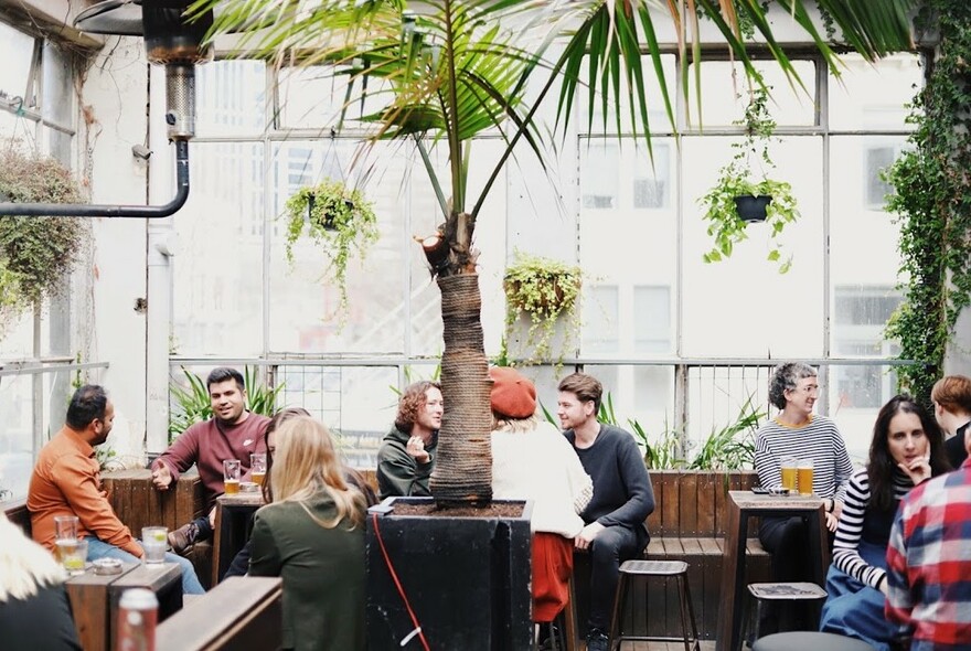 Brightly lit space with lots of windows and foliage, people with drinks seated at wooden tables.