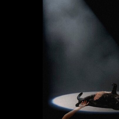 A black cat lying on its back under a dramatic spotlight beam with two disembodied arms reaching up to touch it.