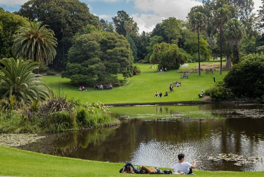 Tranquil scene of trees and lawn surrounding a lake.