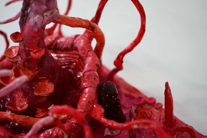 An organic clay sculpture that resembles red tendrils, blood vessels or roots.