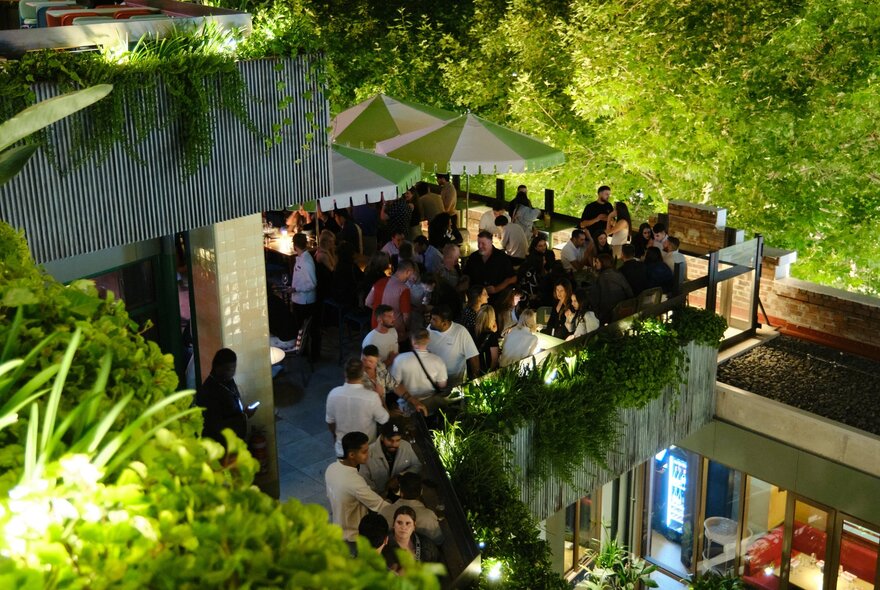 Green and lush open rooftop bar area, with people socialising and drinking.